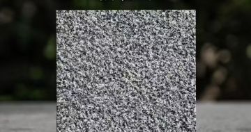 抚州 芝麻黑荔枝面