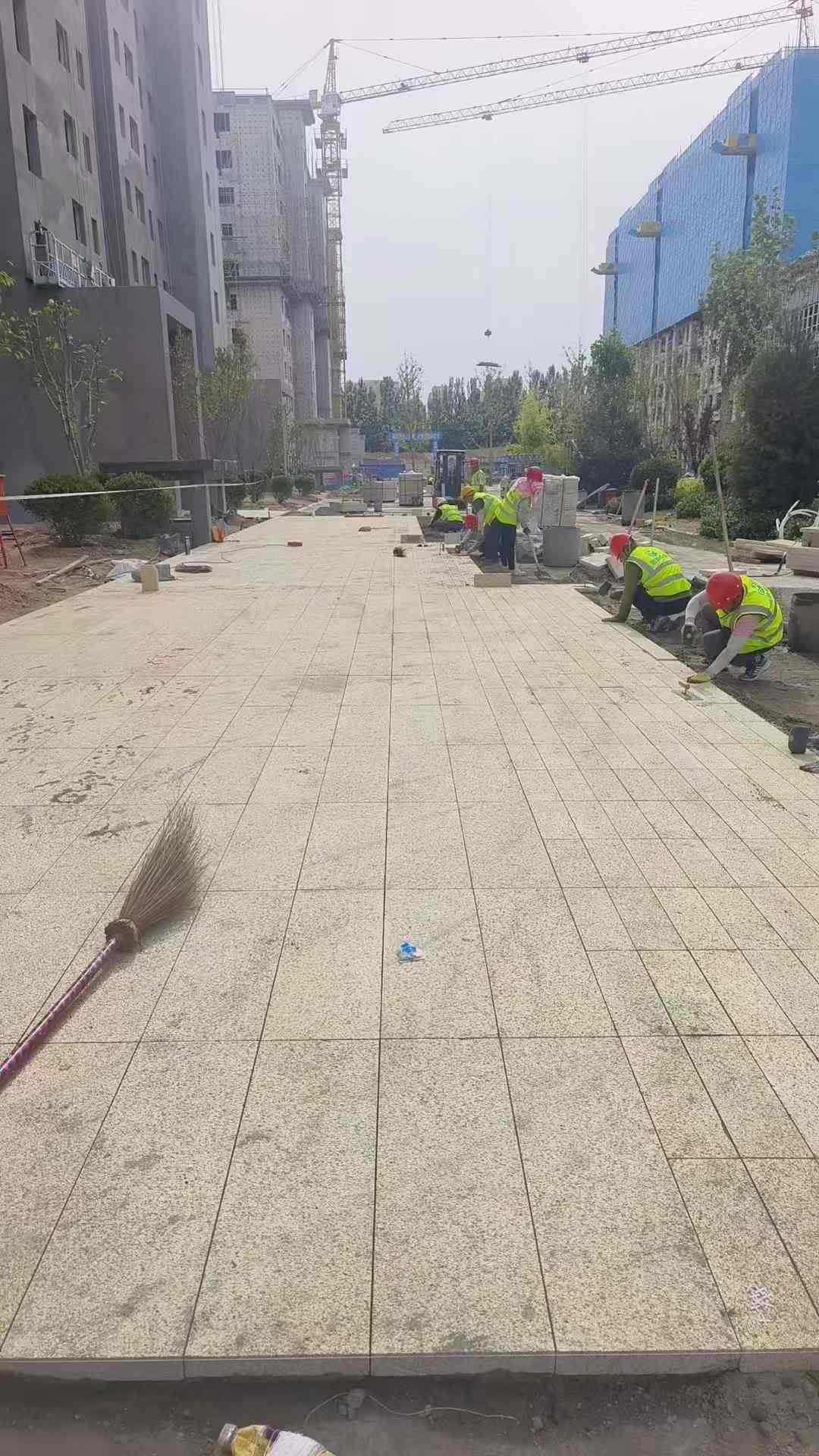 抚州黄金麻荔枝面地铺案例