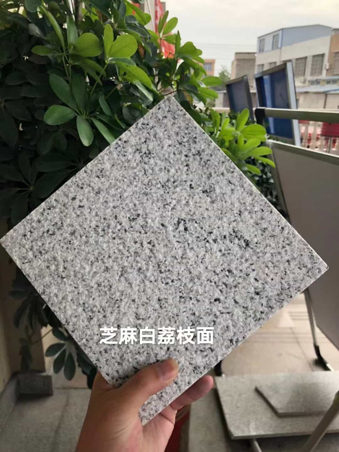 抚州 芝麻白荔枝面干挂
