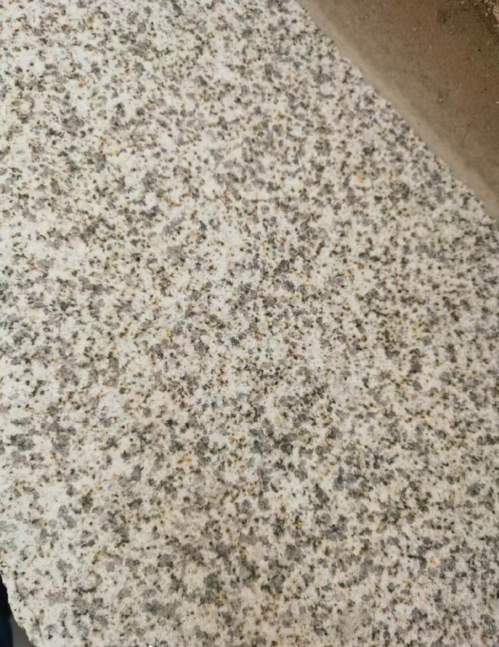 抚州 黄金麻中黄光面